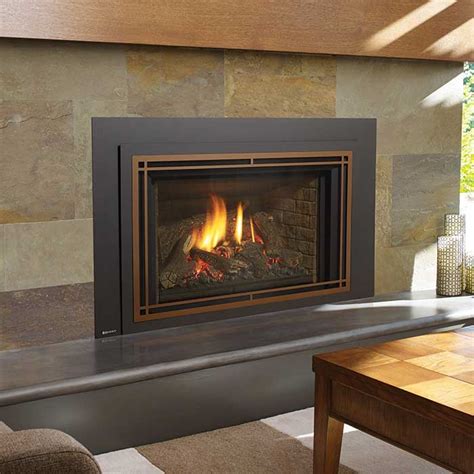 propane insert with blower